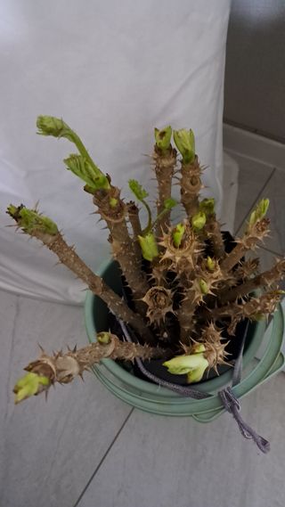 bpjh9173님의 자유주제 · 자유게시판 작성글 사진