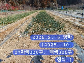 박성민님의 자유주제 · 자유게시판 작성글 사진