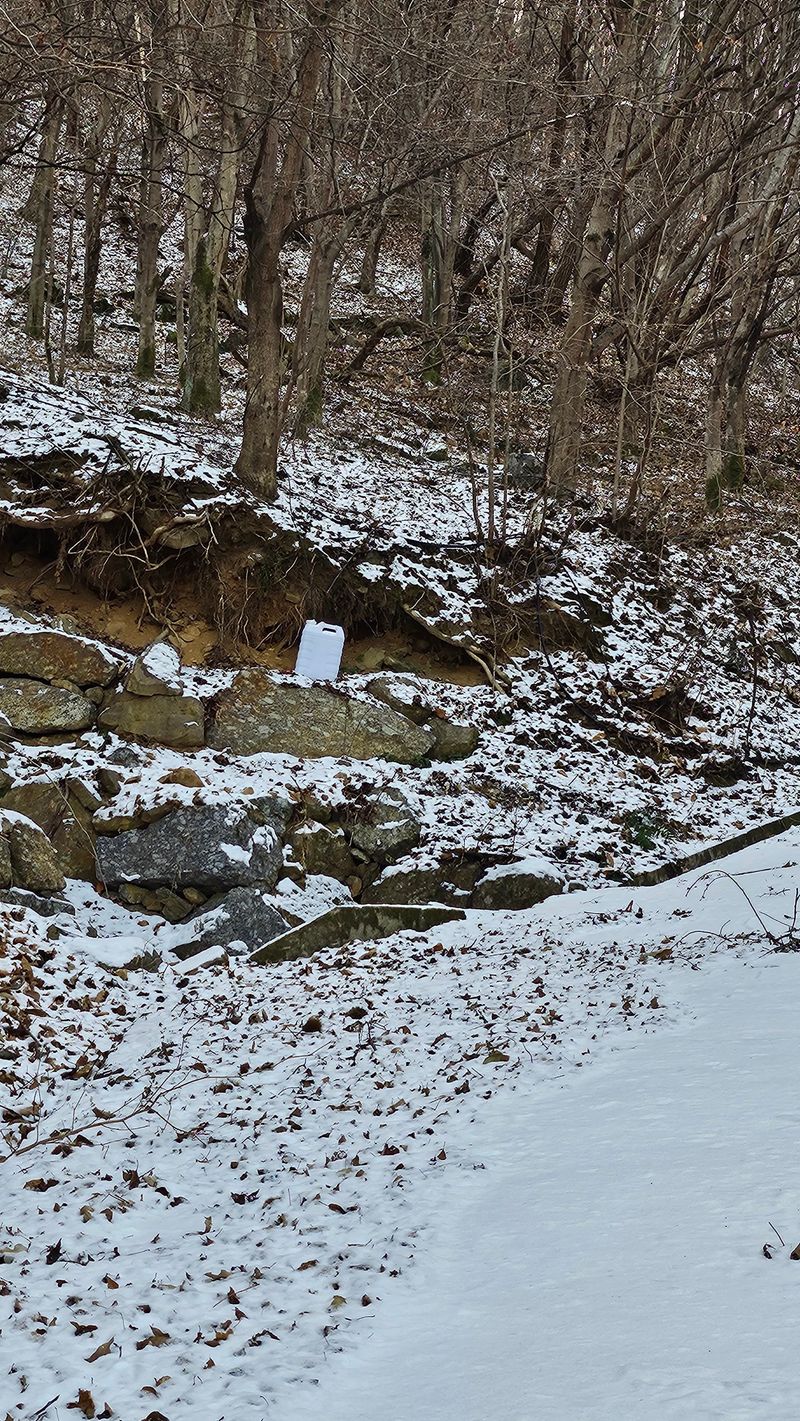 권혜전님의 장터 판매 상품 [백운산고로쇠 12병 1말] 첨부 사진