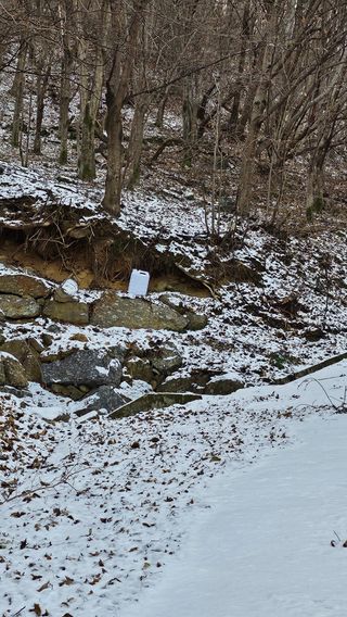 권혜전님의 작성글 사진