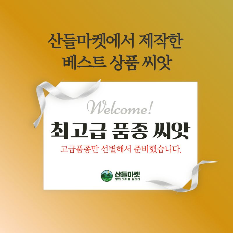 산들마켓,씨앗마켓님의 장터 판매 상품 [산들 새바람 열무씨앗 10g 맛 좋은 열무씨 종자] 첨부 사진