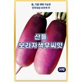 팜모닝 · 게시글 이미지