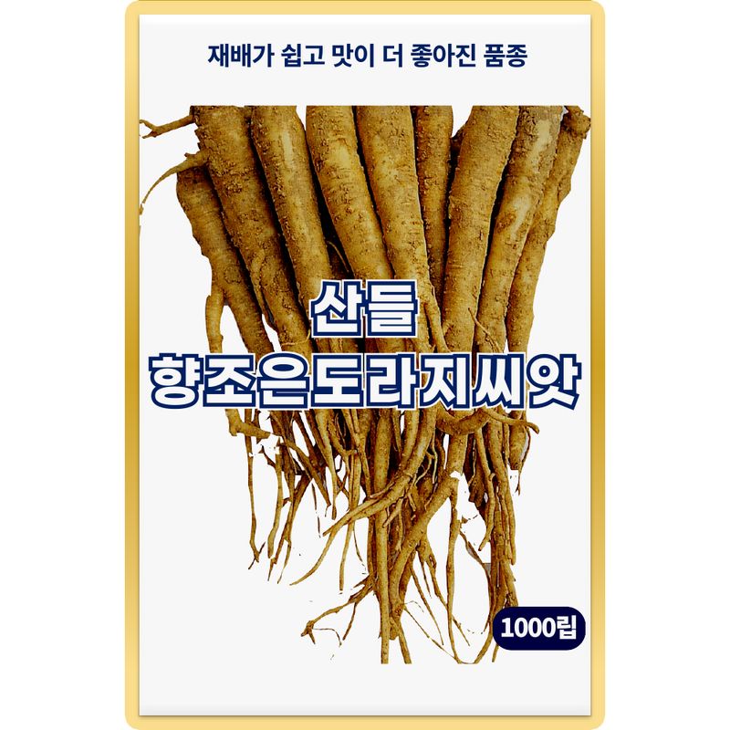 장터 상품 [산들 향조은 도라지 씨앗 1000립 생육이 빠른 민속채소 도라지씨 종자] 썸네일