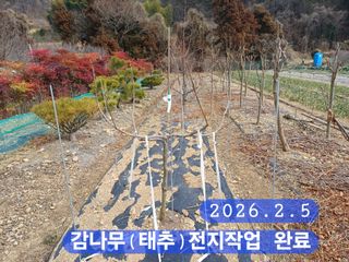 박성민님의 자유주제 · 자유게시판 작성글 사진