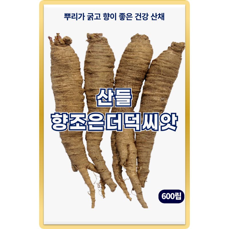 장터 상품 [산들 향조은 더덕 씨앗 600립 뿌리 굵고 건강에 좋은 한방 약재 더덕씨 종자] 썸네일