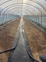 팜모닝 자유주제·자유게시판 게시글 이미지