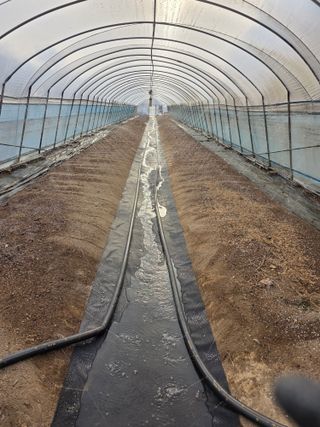 착한농부 안병하님의 자유주제 · 자유게시판 작성글 사진