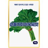 팜모닝 · 게시글 이미지