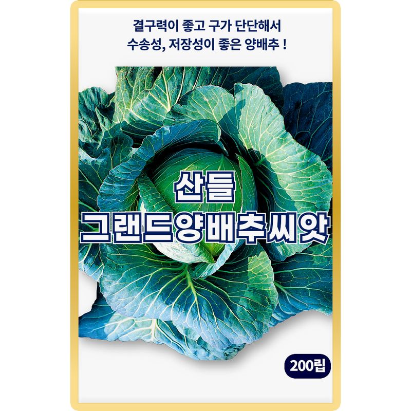 장터 상품 [산들 그랜드 양배추 씨앗 200립 결구력 저장성 좋은 중조생형 양배추씨 종자] 썸네일