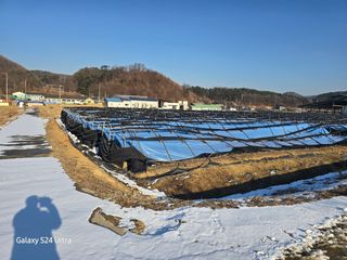 심상진님의 작성글 사진