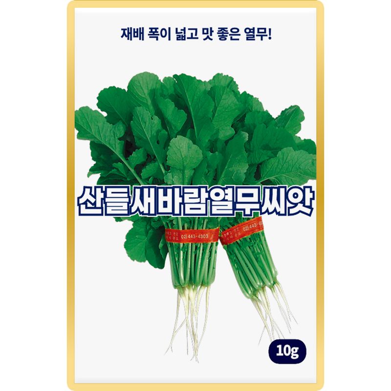 장터 상품 [산들 새바람 열무씨앗 10g 맛 좋은 열무씨 종자] 썸네일