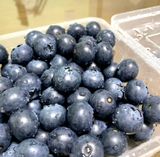 팜모닝 · 게시글 이미지