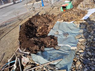 김용대님의 자유주제 · 사진전 작성글 사진