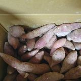 팜모닝 자유주제·자유게시판 게시글 이미지