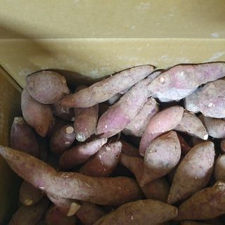 비취바다님의 자유주제 · 자유게시판 작성글 사진