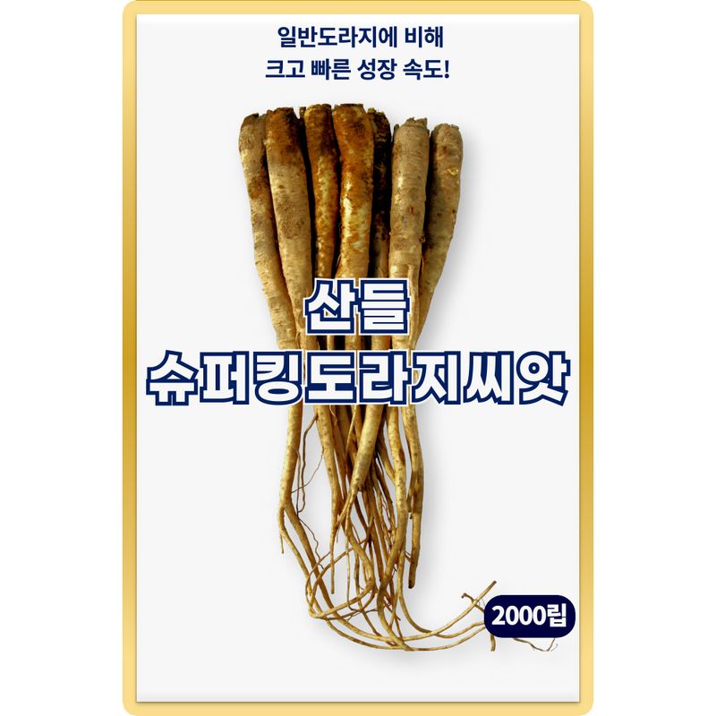 장터 상품 [산들 슈퍼킹 도라지 씨앗 2000립 잔뿌리 많고 크기가 큰 도라지씨 종자] 썸네일