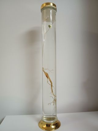 청산곡부님의 자유주제·자유게시판 작성글 사진