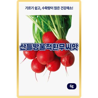 산들마켓,씨앗마켓님의 작성글 사진