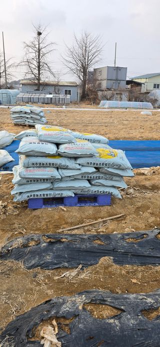 시흥댓골농부님의 자유주제 · 자유게시판 작성글 사진