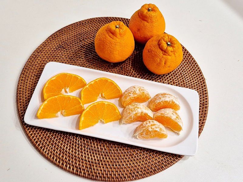 새달귤농장님의 장터 판매 상품 [노지한라봉 대.중혼합] 첨부 사진