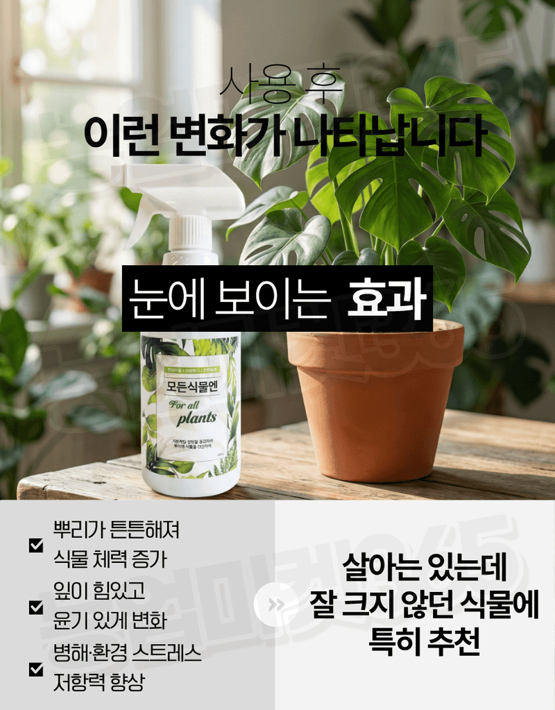 농업마켓365님의 장터 판매 상품 [모든식물엔 올인원 분무형 반려식물 해조추출물 함유 500ml 식물영양제 화분영양제] 첨부 사진