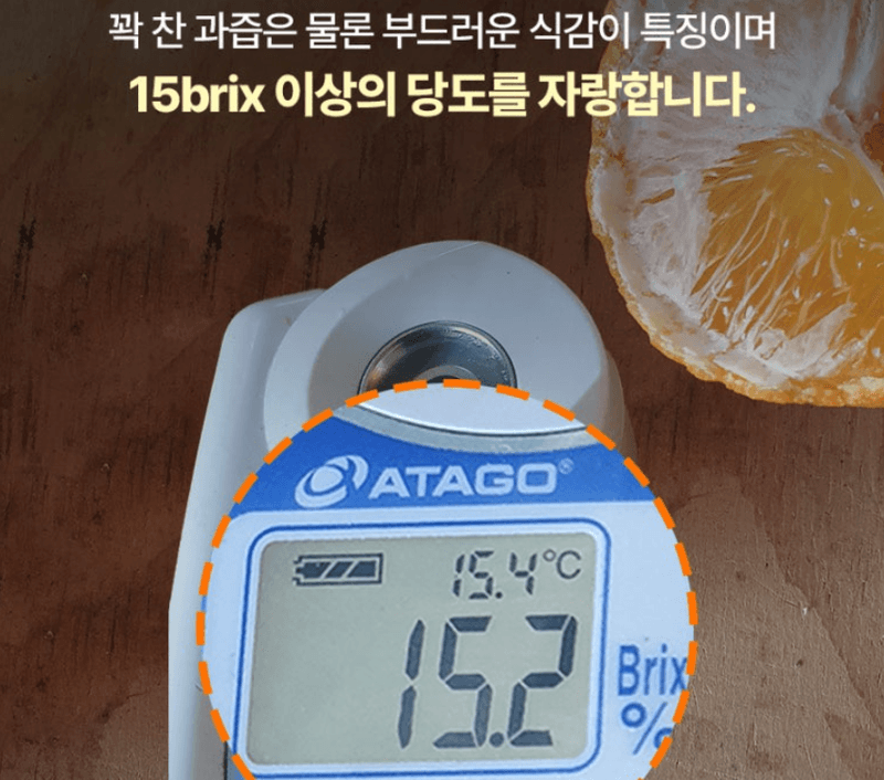 스피드번님의 장터 판매 상품 [초특가 한라봉 선물세트 ] 첨부 사진