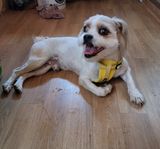 팜모닝 자유주제·자유게시판 게시글 이미지