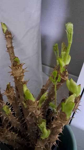 bpjh9173님의 자유주제 · 자유게시판 작성글 사진