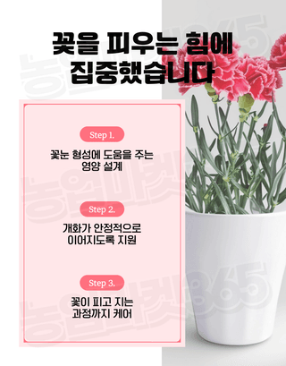 농업마켓365님의 작성글 사진