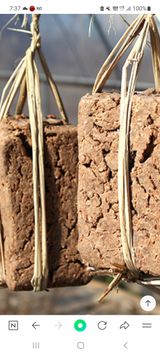 팜모닝 · 게시글 이미지