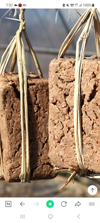 신동익님의 작성글 사진