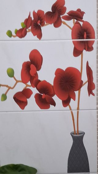 MSG0074님의 자유주제 · 자유게시판 작성글 사진