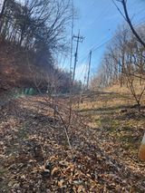 팜모닝 자유주제·자유게시판 게시글 이미지