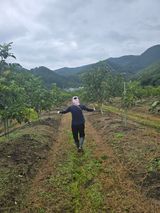 팜모닝 자유주제·자유게시판 게시글 이미지