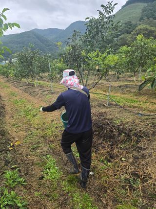 형제들농원님의 자유주제 · 자유게시판 작성글 사진