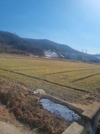 최한섭님의 자유주제·자유게시판 작성글 사진