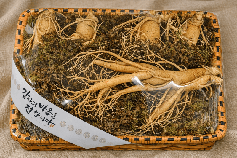 모두팜님의 장터 판매 상품 [[명절선물] 직접 재배한 국산 인삼 선물세트 (특품)] 첨부 사진
