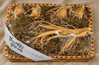 모두팜님의 작성글 사진