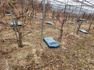 최상길 님의 자유주제 · 사진전 작성글 사진