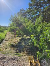 팜모닝 자유주제·자유게시판 게시글 이미지