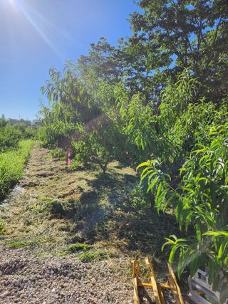 댕이골표영환님의 자유주제 · 자유게시판 작성글 사진