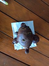 팜모닝 자유주제·자유게시판 게시글 이미지