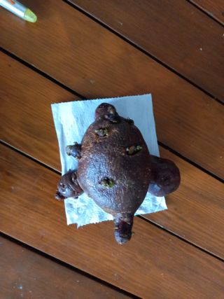 JG59619192님의 자유주제 · 자유게시판 작성글 사진