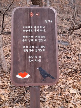 MSG0074님의 자유주제 · 자유게시판 작성글 사진