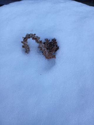 박수연님의 작성글 사진