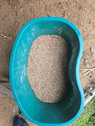 형제들농원님의 자유주제 · 자유게시판 작성글 사진