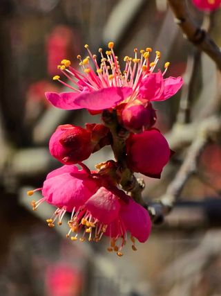 안길원님의 자유주제 · 자유게시판 작성글 사진