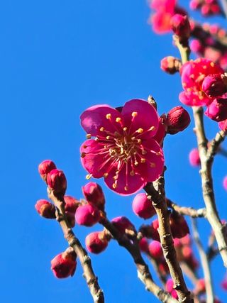 안길원님의 자유주제 · 자유게시판 작성글 사진