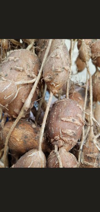 오다가다님의 작성글 사진