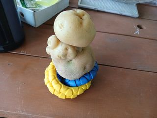 JG59619192님의 자유주제 · 자유게시판 작성글 사진